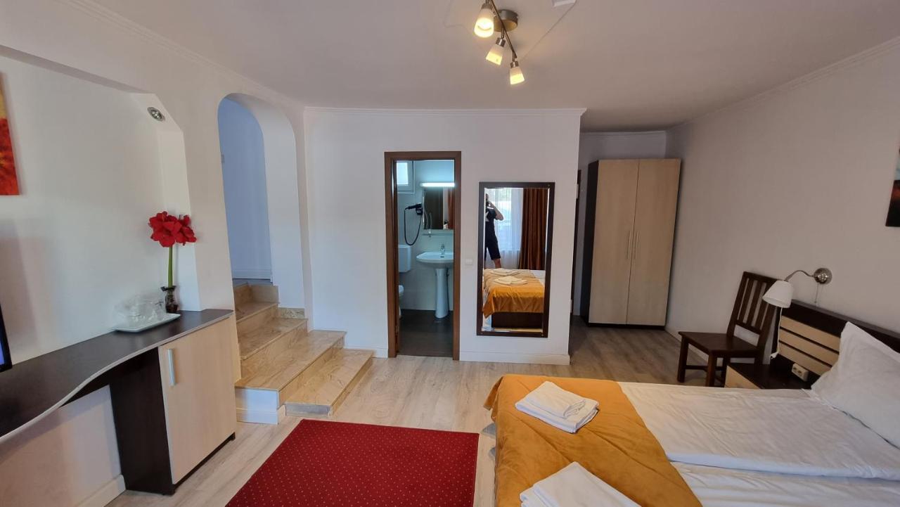 Vila Parc Cluj Napoca Bagian luar foto
