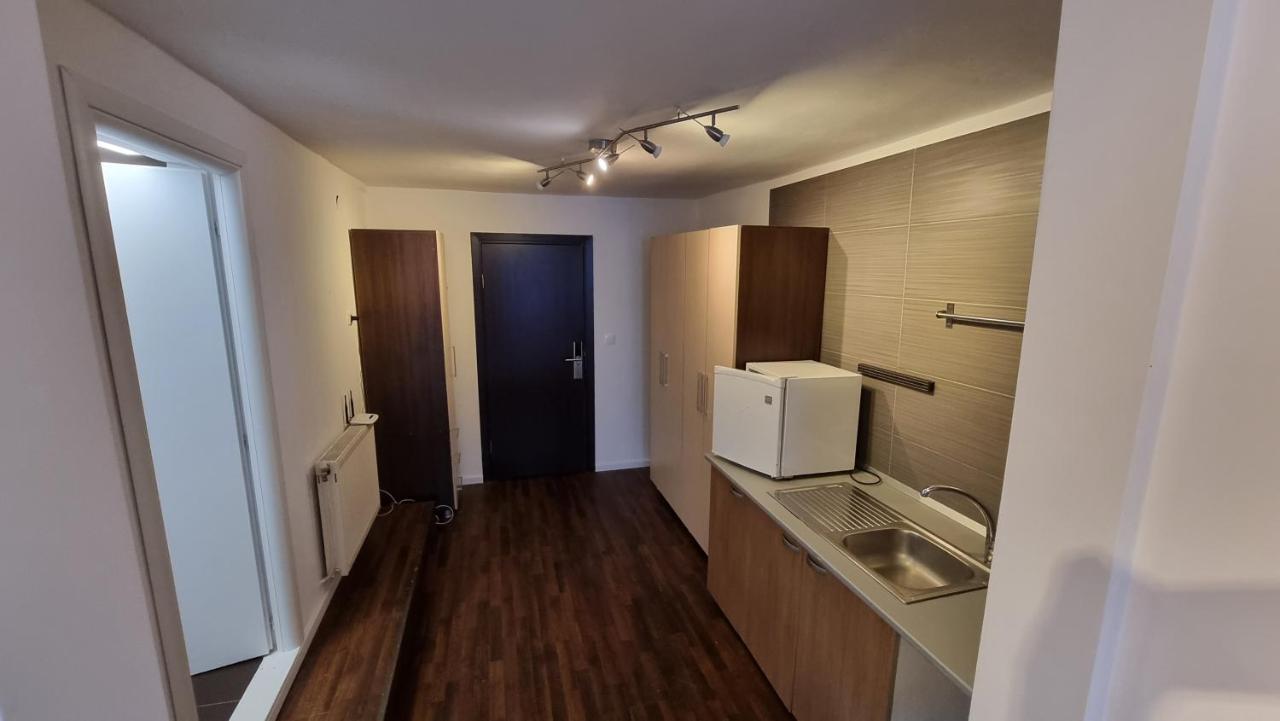Vila Parc Cluj Napoca Bagian luar foto