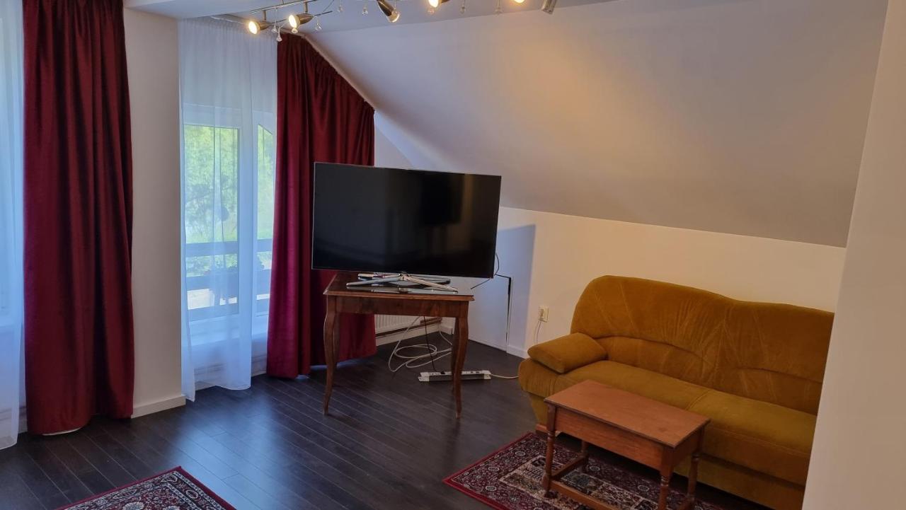 Vila Parc Cluj Napoca Bagian luar foto